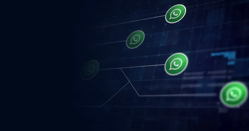 BrainADZ Marketing WhatsApp campaign and automation team